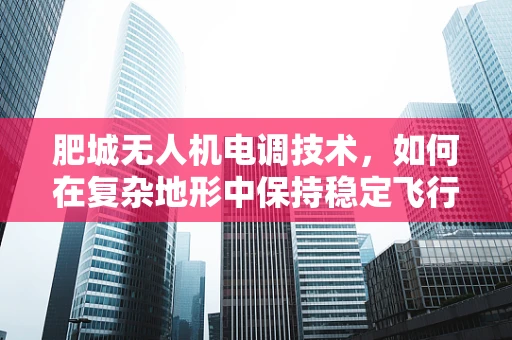 肥城无人机电调技术，如何在复杂地形中保持稳定飞行？