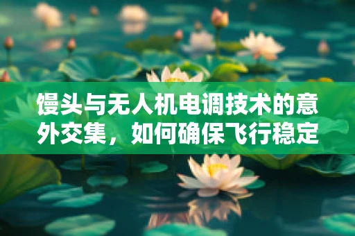 馒头与无人机电调技术的意外交集，如何确保飞行稳定？