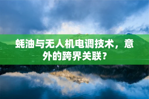 蚝油与无人机电调技术，意外的跨界关联？