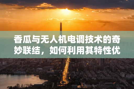香瓜与无人机电调技术的奇妙联结，如何利用其特性优化飞行稳定性？
