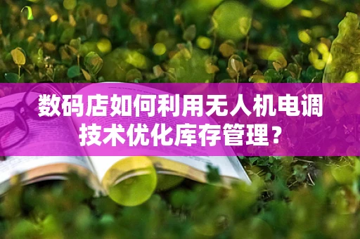 数码店如何利用无人机电调技术优化库存管理？