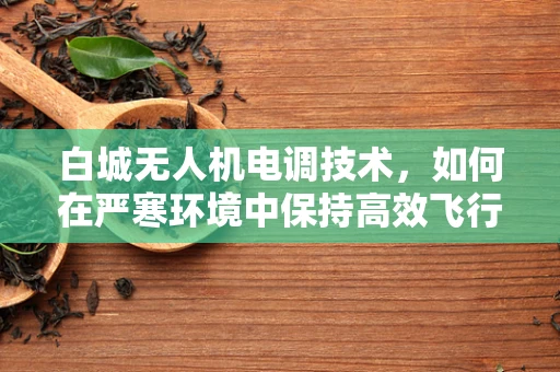 白城无人机电调技术，如何在严寒环境中保持高效飞行？