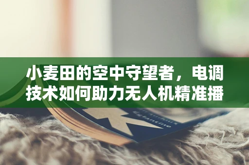 小麦田的空中守望者，电调技术如何助力无人机精准播种？