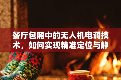 餐厅包厢中的无人机电调技术，如何实现精准定位与静音飞行？