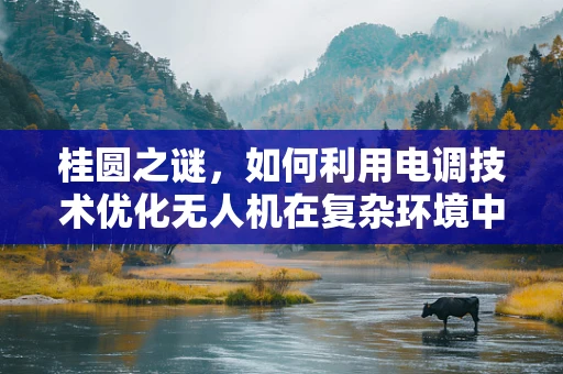 桂圆之谜，如何利用电调技术优化无人机在复杂环境中的导航？
