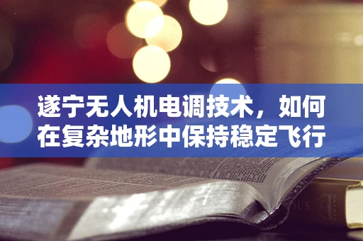 遂宁无人机电调技术，如何在复杂地形中保持稳定飞行？
