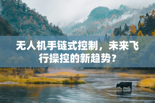 无人机手链式控制，未来飞行操控的新趋势？