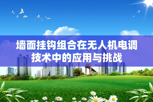 墙面挂钩组合在无人机电调技术中的应用与挑战