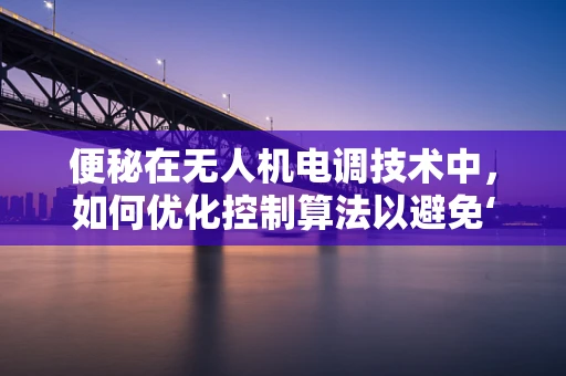 便秘在无人机电调技术中，如何优化控制算法以避免‘飞行停滞’？