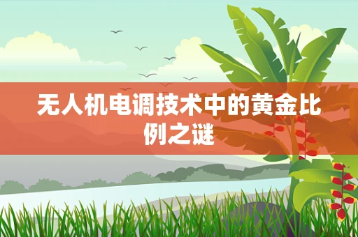 无人机电调技术中的黄金比例之谜