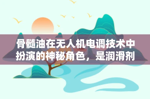 骨髓油在无人机电调技术中扮演的神秘角色，是润滑剂还是干扰源？