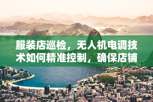 服装店巡检，无人机电调技术如何精准控制，确保店铺安全？