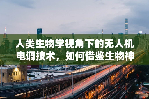 人类生物学视角下的无人机电调技术，如何借鉴生物神经网络优化飞行控制？