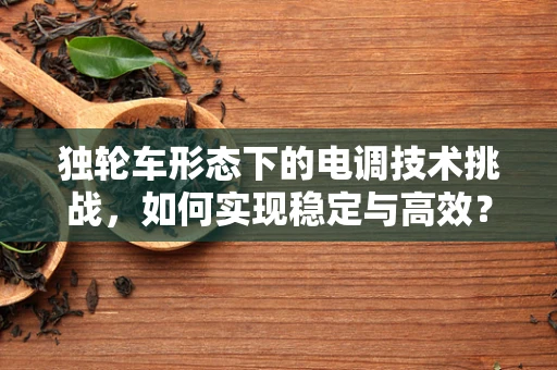 独轮车形态下的电调技术挑战，如何实现稳定与高效？
