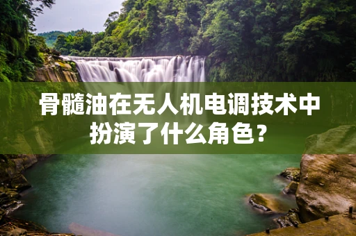 骨髓油在无人机电调技术中扮演了什么角色？