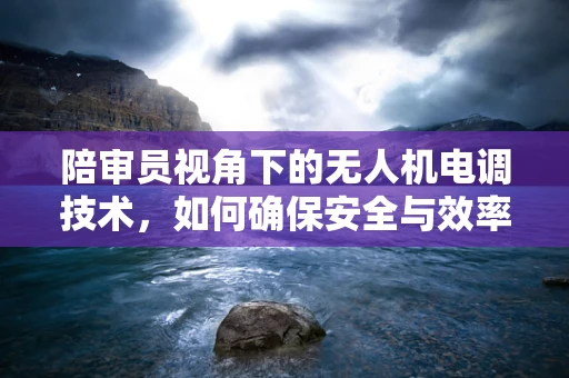 陪审员视角下的无人机电调技术，如何确保安全与效率的平衡？