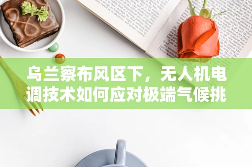 乌兰察布风区下，无人机电调技术如何应对极端气候挑战？