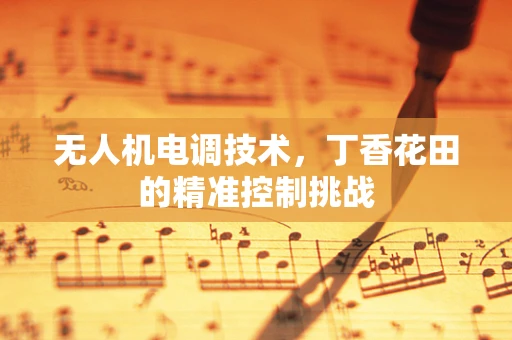 无人机电调技术，丁香花田的精准控制挑战