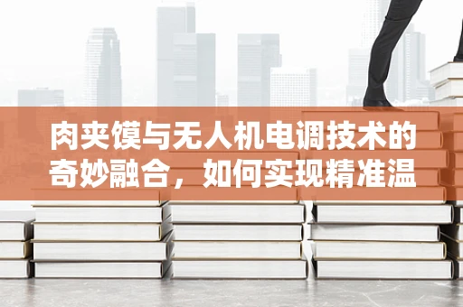 肉夹馍与无人机电调技术的奇妙融合，如何实现精准温控以保障美食与飞行的双重美味？