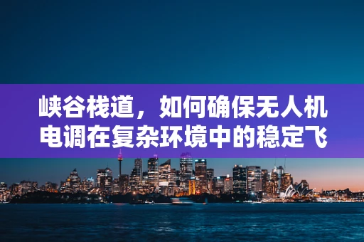 峡谷栈道，如何确保无人机电调在复杂环境中的稳定飞行？