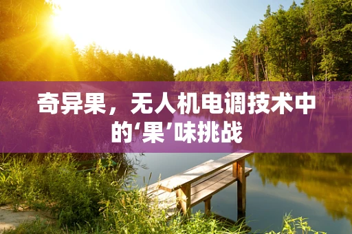 奇异果，无人机电调技术中的‘果’味挑战