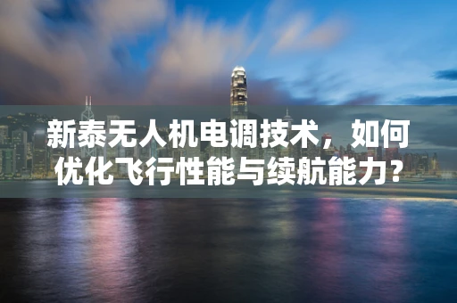 新泰无人机电调技术，如何优化飞行性能与续航能力？