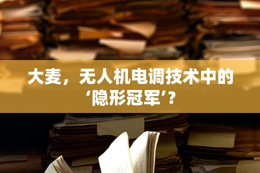 大麦，无人机电调技术中的‘隐形冠军’？