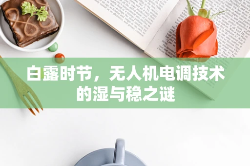 白露时节，无人机电调技术的湿与稳之谜