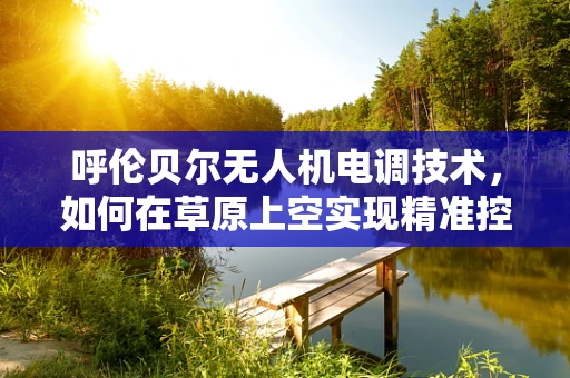 呼伦贝尔无人机电调技术，如何在草原上空实现精准控制？