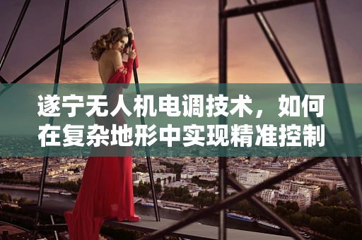 遂宁无人机电调技术，如何在复杂地形中实现精准控制？