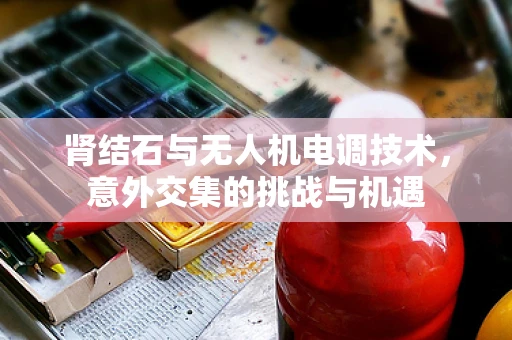 肾结石与无人机电调技术，意外交集的挑战与机遇