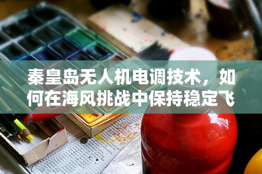 秦皇岛无人机电调技术，如何在海风挑战中保持稳定飞行？