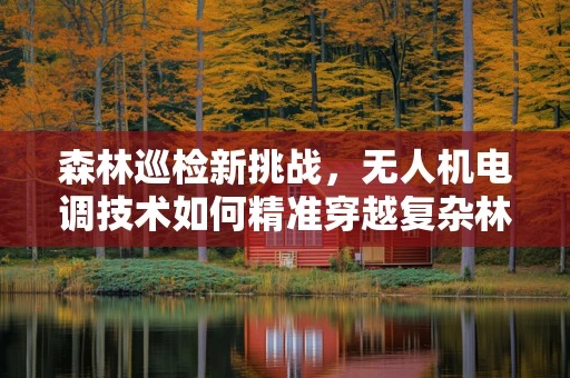 森林巡检新挑战，无人机电调技术如何精准穿越复杂林间？