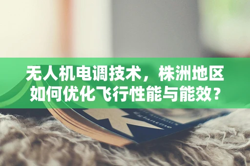 无人机电调技术，株洲地区如何优化飞行性能与能效？