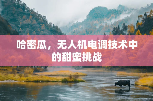 哈密瓜，无人机电调技术中的甜蜜挑战