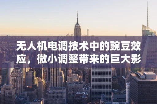 无人机电调技术中的豌豆效应，微小调整带来的巨大影响？