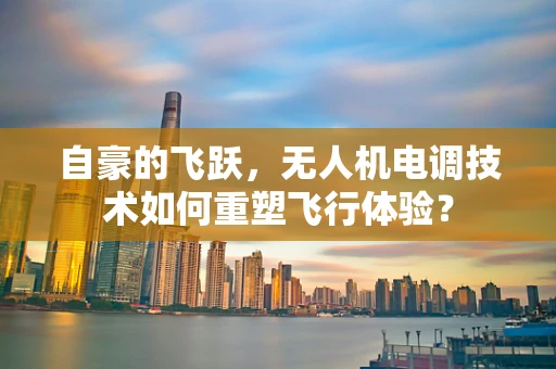 自豪的飞跃，无人机电调技术如何重塑飞行体验？