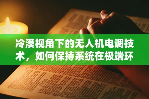 冷漠视角下的无人机电调技术，如何保持系统在极端环境下的稳定与高效？