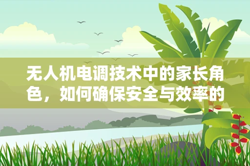 无人机电调技术中的家长角色，如何确保安全与效率的平衡？