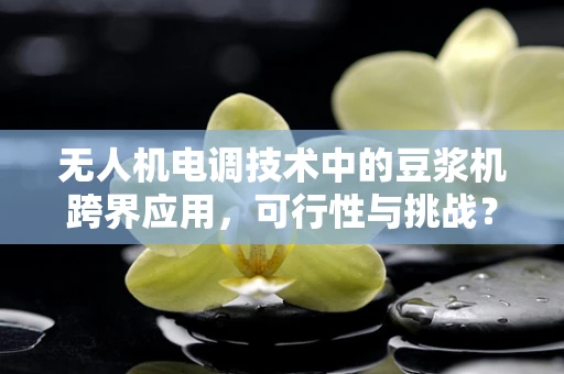 无人机电调技术中的豆浆机跨界应用，可行性与挑战？
