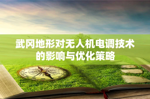 武冈地形对无人机电调技术的影响与优化策略