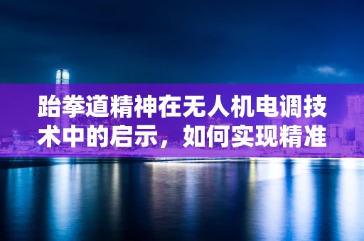 跆拳道精神在无人机电调技术中的启示，如何实现精准控制与快速反应？