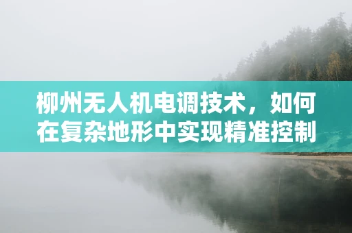 柳州无人机电调技术，如何在复杂地形中实现精准控制？