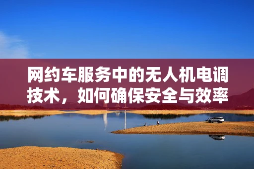 网约车服务中的无人机电调技术，如何确保安全与效率的平衡？