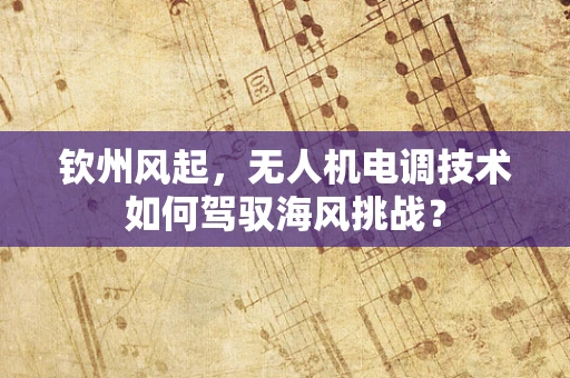 钦州风起，无人机电调技术如何驾驭海风挑战？