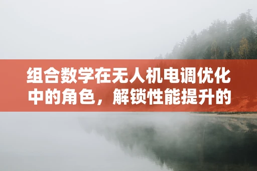 组合数学在无人机电调优化中的角色，解锁性能提升的密钥？