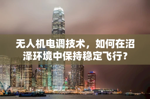 无人机电调技术，如何在沼泽环境中保持稳定飞行？