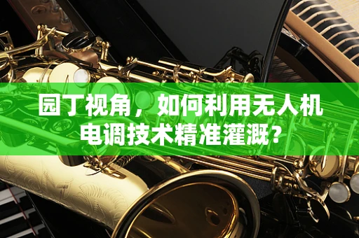 园丁视角，如何利用无人机电调技术精准灌溉？
