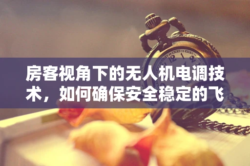 房客视角下的无人机电调技术，如何确保安全稳定的飞行体验？