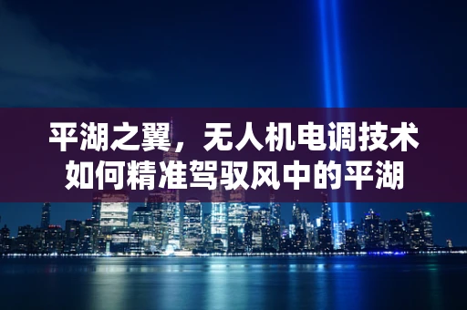 平湖之翼，无人机电调技术如何精准驾驭风中的平湖
